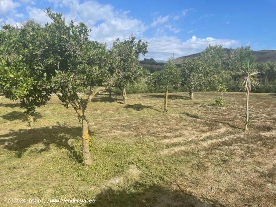 FINCA CON CORTIJO - GRANADA