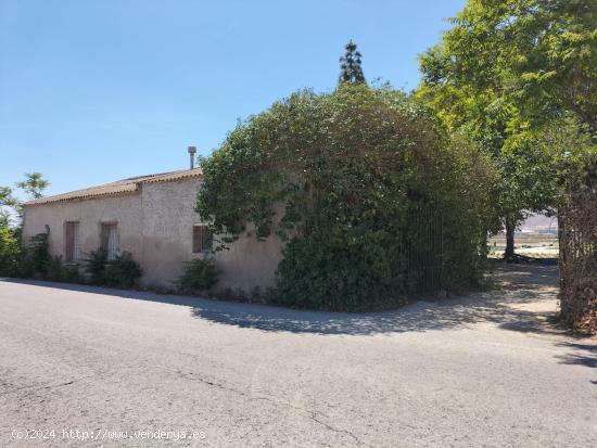 FINCA  RUSTICA CON UNA VIVIENDA - ALICANTE