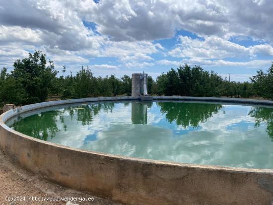 Se vende Finca Rustica con Masia y abundante agua en Reus - TARRAGONA