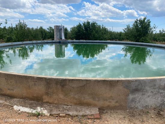 Se vende Finca Rustica con Masia y abundante agua en Reus - TARRAGONA