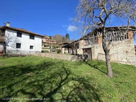 VENTA DE CASA, CUADRA Y FINCA EDIFICABLE - ASTURIAS