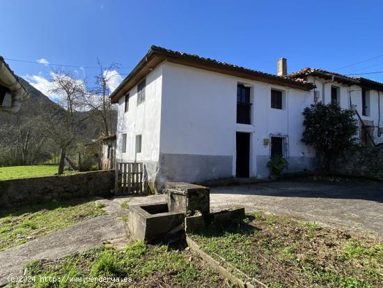 VENTA DE CASA, CUADRA Y FINCA EDIFICABLE - ASTURIAS