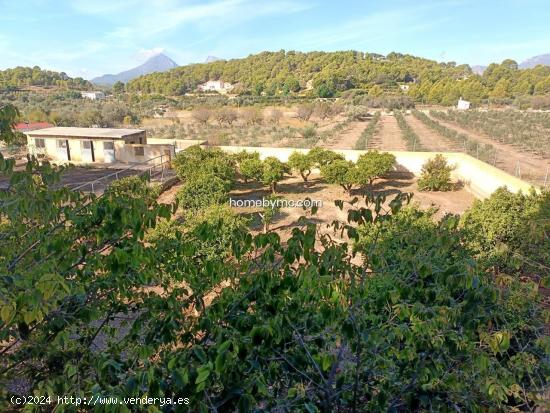  PARCELA RUSTICA EN ALTEA CON EDIFICACION - ALICANTE 