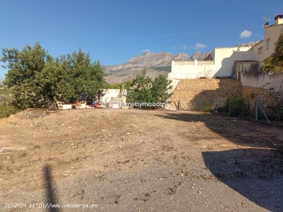 PARCELA RUSTICA EN ALTEA CON EDIFICACION - ALICANTE