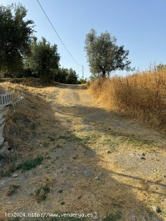 TERRENO RUSTICO EN OTURA - GRANADA