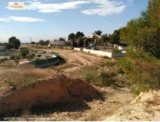 PARCELA PEÑA LAS AGUILAS - ALICANTE