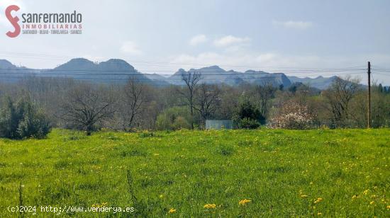  Terreno urbano La Cavada - CANTABRIA 