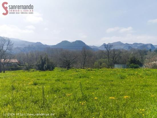 Terreno urbano La Cavada - CANTABRIA