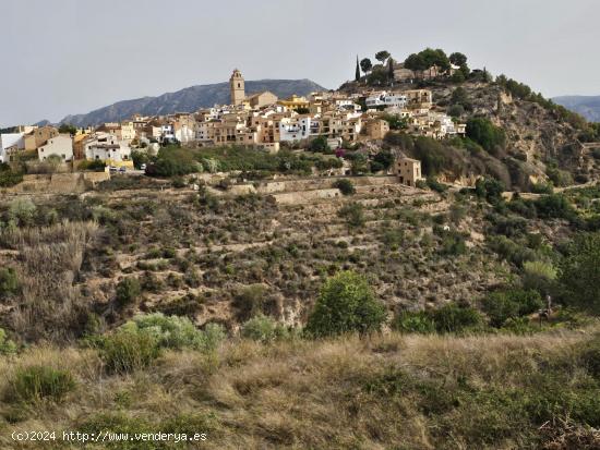 TERRENO DE 385 M2 EN LA NUCIA (IDEAL PARA HUERTO, PLANTAR ARBOLES FRUTALES..) - ALICANTE