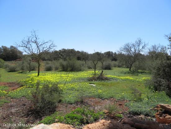 Finca rústica con edificaciones en venta Vallgornera Llucmajor - BALEARES