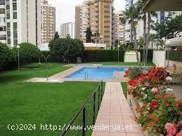 VENDEMOS APARTAMENTO EN BENIDORM TORRE IPANEMA - ALICANTE