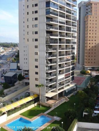 VENDEMOS APARTAMENTO EN BENIDORM TORRE IPANEMA - ALICANTE