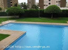 VENDEMOS APARTAMENTO EN BENIDORM TORRE IPANEMA - ALICANTE