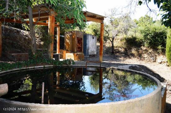 FINCA RUSTICA N LA SELVA DEL CAMP CON UNOS 6.000 M2, POZO PROPIO DE AGUA, 2º POZO COMPARTIDO - TARR