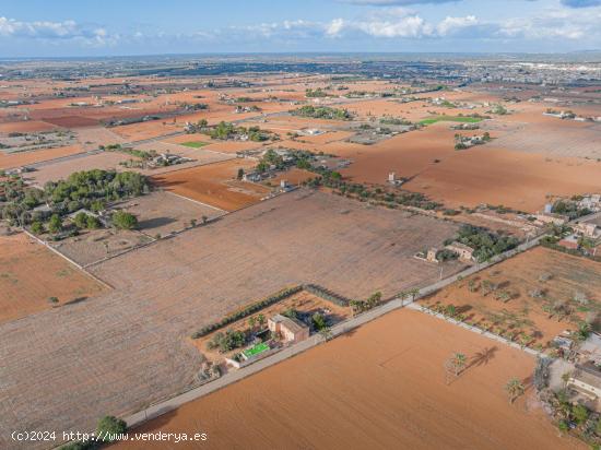 Terreno edificable en Santanyí - BALEARES