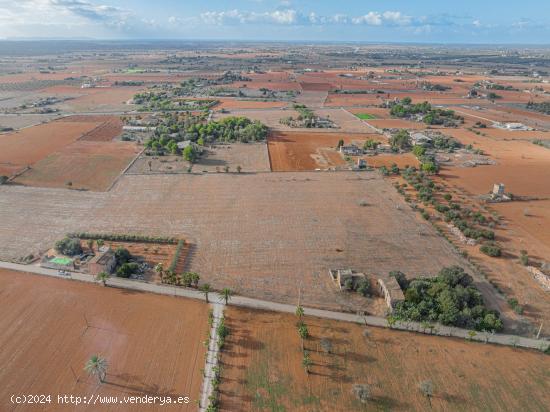 Terreno edificable en Santanyí - BALEARES