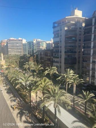 PISO EN ALQUILER EN PLENO CENTRO ALICANTE - ZONA LUCEROS - ALICANTE