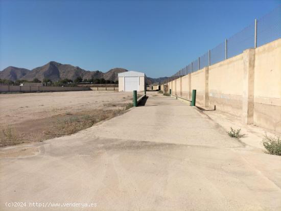 NAVE CON TERRENO - ALICANTE