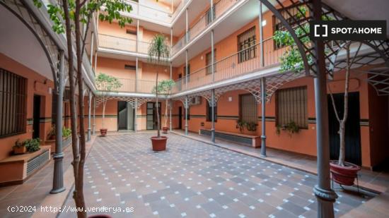 Precioso apartamento de 1 dormitorio en Sevilla - SEVILLA