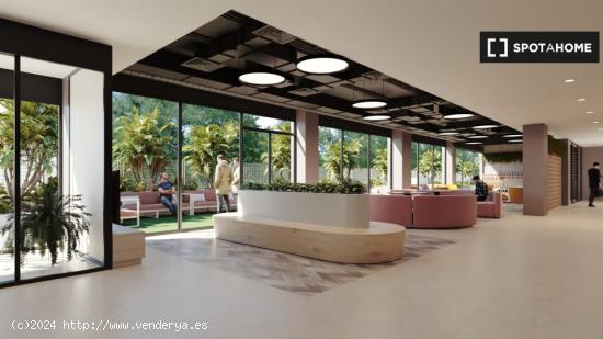 Estudio Superior en Residencia en Sevilla - SEVILLA