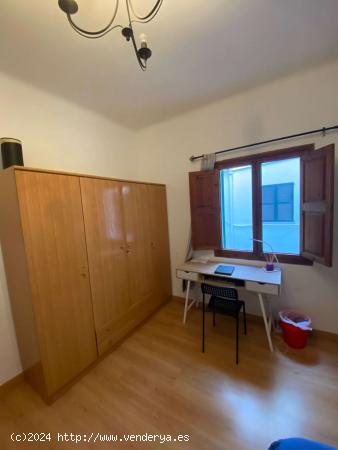 Habitación en piso compartido en Palma - BALEARES