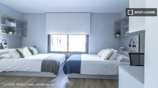 Estudio Doble Premium en Sevilla - SEVILLA