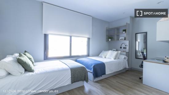 Estudio Doble Premium en Sevilla - SEVILLA