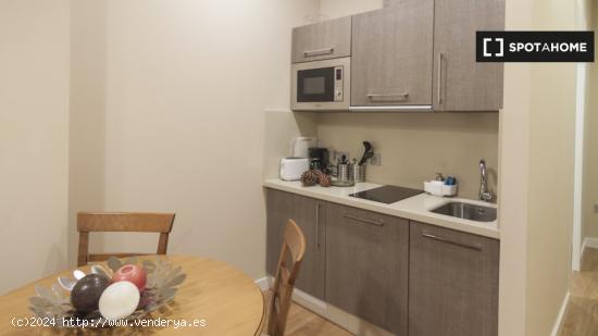 Apartamento entero de 1 dormitorio en Sevilla - SEVILLA