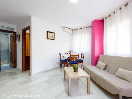  Apartamento de 1 dormitorio en alquiler en La Princesa - MALAGA 