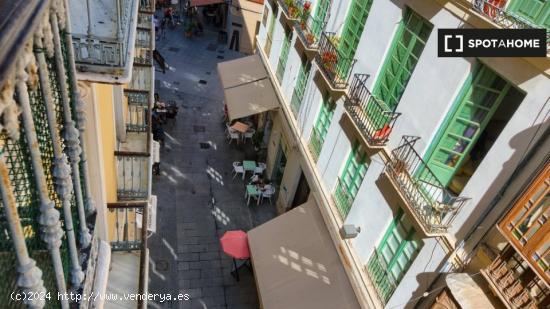 Se alquila monoambiente en Centro Histórico - MALAGA