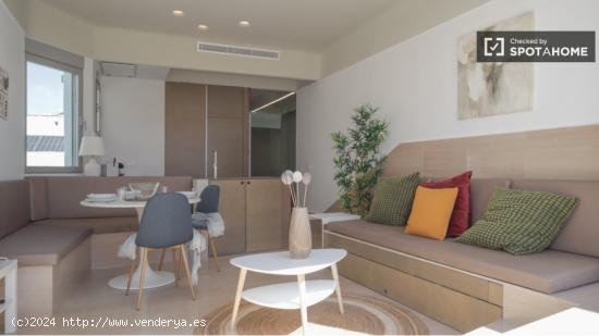 Apartamento de 1 dormitorio en alquiler en Madrid - MADRID