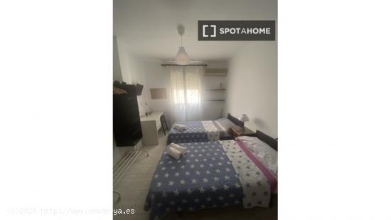 Habitación en piso compartido en Málaga - MALAGA