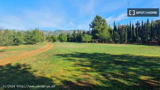 Estudio en Palmanyola - BALEARES