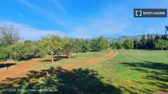 Estudio en Palmanyola - BALEARES