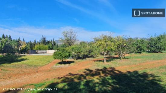 Estudio en Palmanyola - BALEARES