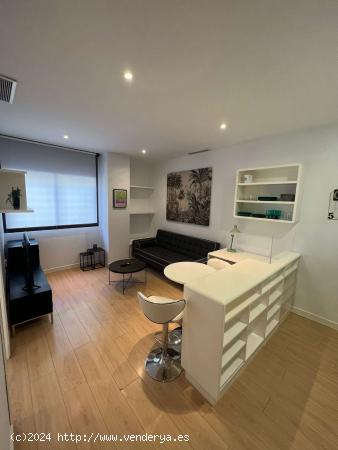 Apartamento entero de 1 habitaciones en Madrid - MADRID