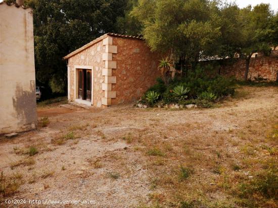  FINCA RÚSTICA EN LLUBÍ - BALEARES 