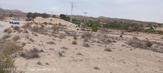 Terreno en venta Peña de las Aguilas - ALICANTE