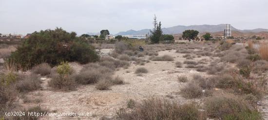 Terreno en venta Peña de las Aguilas - ALICANTE