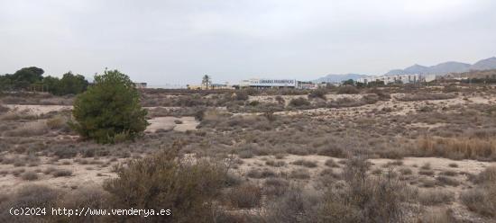 Terreno en venta Peña de las Aguilas - ALICANTE