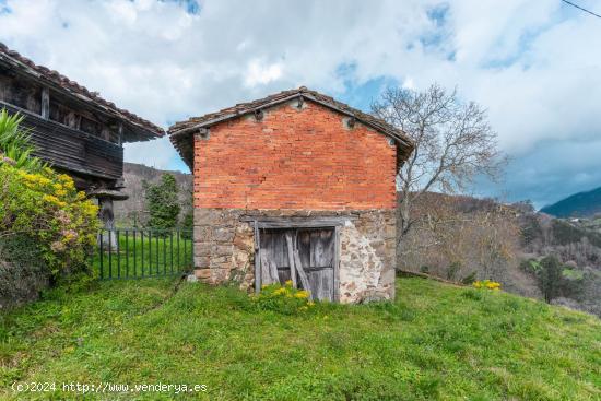 Se Vende en Piloña - ASTURIAS