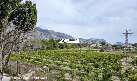  Terreno rústico de 15.473 m2 en Altea - ALICANTE 