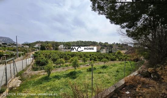 Terreno rústico de 15.473 m2 en Altea - ALICANTE