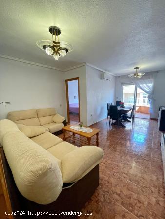 APARTAMENTO DE 3 DORMITORIOS A 200 METROS DE LA PLAYA -ZONA PLAYA DE LOS LOCOS, TORREVIEJA- - ALICAN