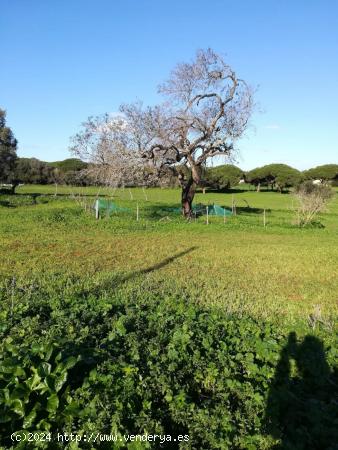 Casa de campo entorno rústico - CADIZ