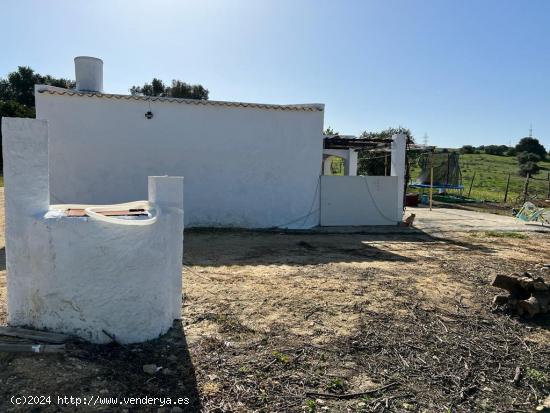 CASA ANTIGUA EN PARCELA RÚSTICA - CADIZ