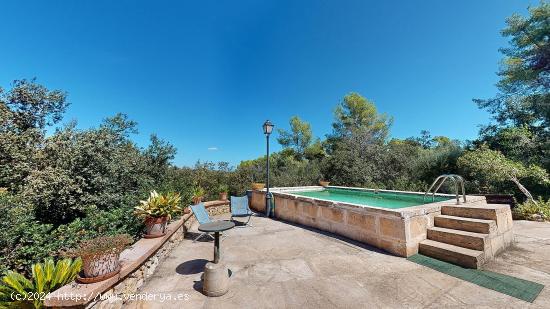 Un Oasis en el Bosque con CÉDULA de Habitabilidad - BALEARES