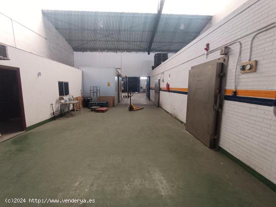 NAVE INDUSTRIAL EN VENTA EN ZONA NORTE - CADIZ