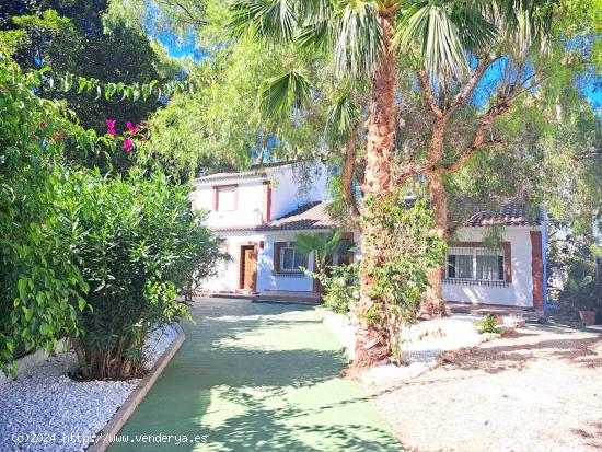  🏡 ¡Vendo Chalet en la Huerta de Orihuela Ciudad! 🏡 - ALICANTE 