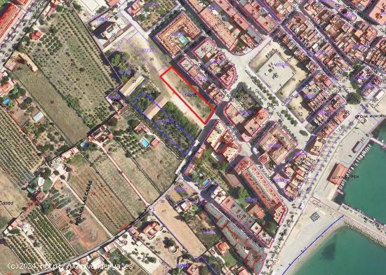 TERRENO URBANO LES CASE D'ALCANAR - TARRAGONA